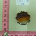 CTI0736
