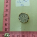 CTI0737
