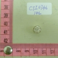 CTI0746