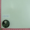 CTI0751