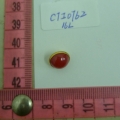 CTI0762