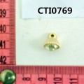 CTI0769