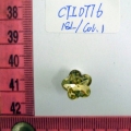 CTI0776