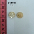 CTI0847