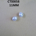 CTI0858