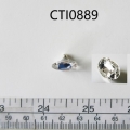 CTI0889