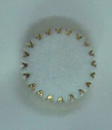 CTD0007