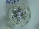 CTD0009