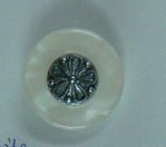 CTD0029