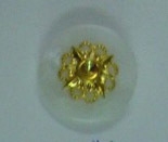 CTD0033