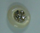 CTD0049