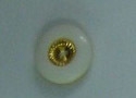 CTD0056