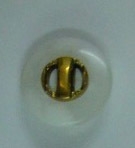 CTD0073