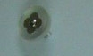 CTD0094