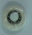 CTD0109