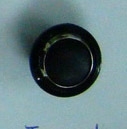 CTD0306
