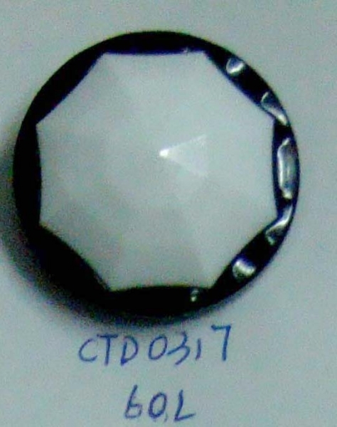 CTD0317