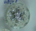 CTD0009