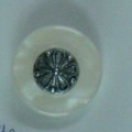 CTD0029