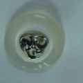 CTD0031