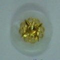CTD0033