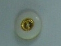 CTD0056