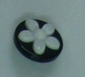 CTD0057