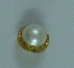 CTD0060
