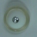 CTD0062