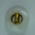 CTD0073