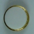 CTD0081