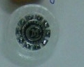 CTD0086