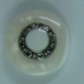 CTD0109