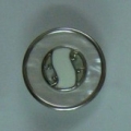 CTD0124