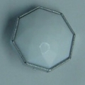 CTD0157