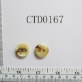 CTD0167-2