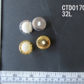 CTD0170