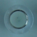 CTD0238