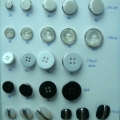 CTD0249-0252