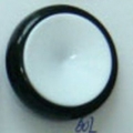 CTD0256
