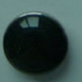 CTD0261