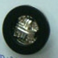 CTD0266