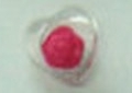 CTD0272