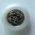 CTD0277