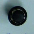 CTD0306