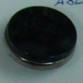 CTD0313