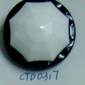 CTD0317