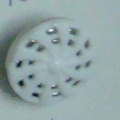 CTD0325