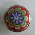 CTD0425