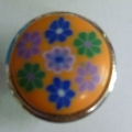 CTD0429